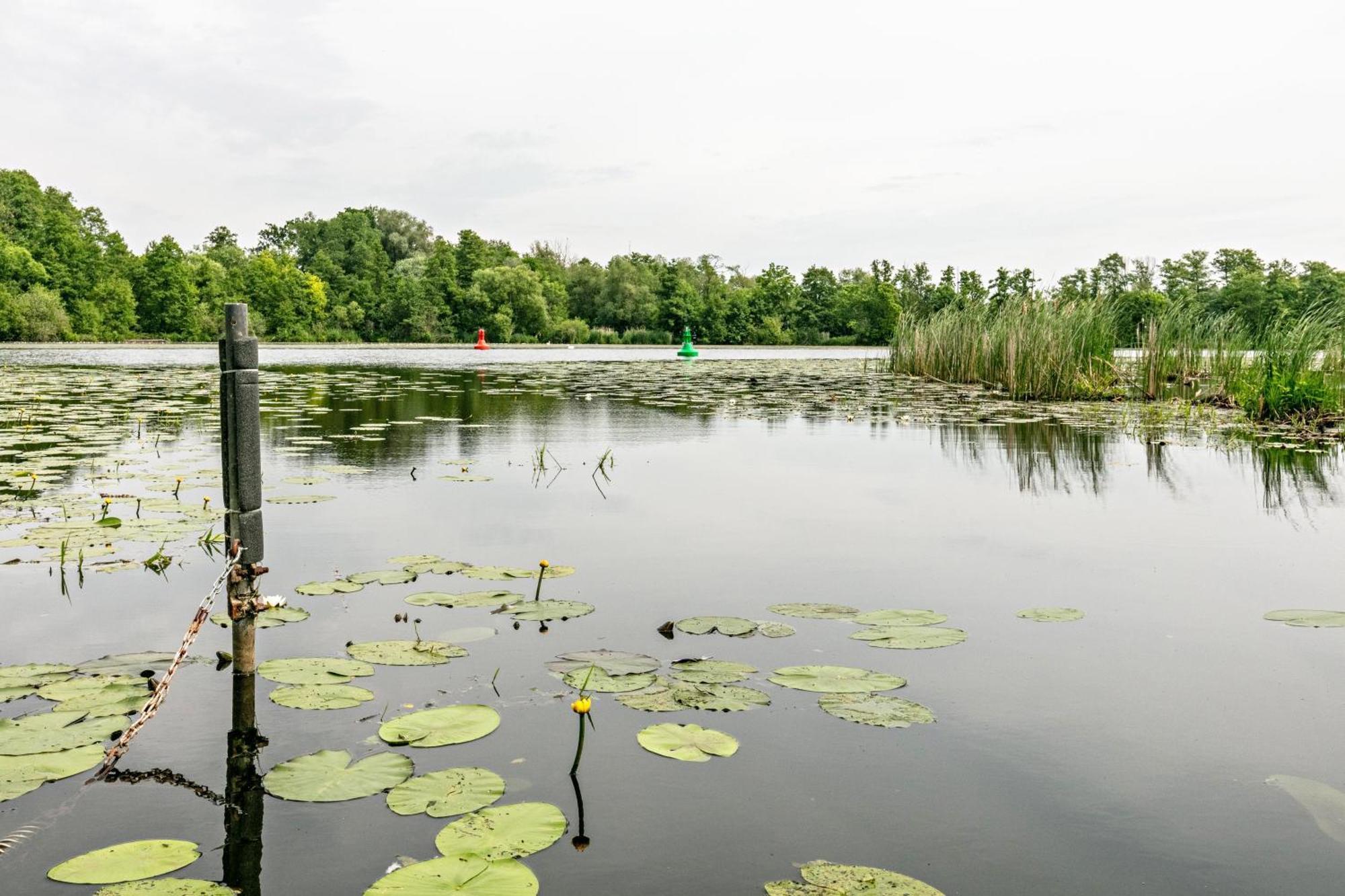 Haus Am See Βίλα Königs Wusterhausen Εξωτερικό φωτογραφία